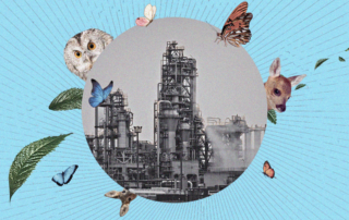 Koláž: Ekonews / Unsplash