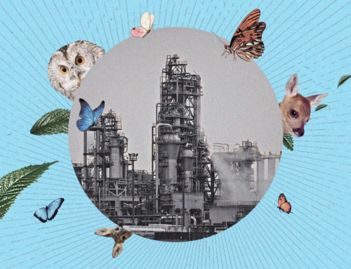 Jak poznat greenwashing: pozor na výrazy jako „přírodní“ či „ekologický“ a zelené lístečky