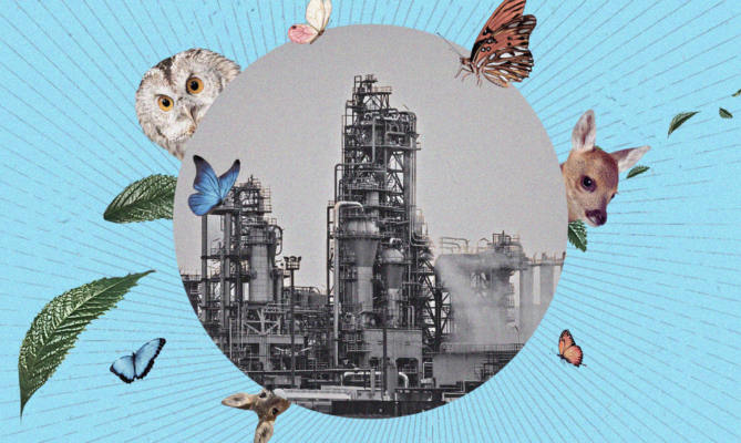 Koláž: Ekonews / Unsplash