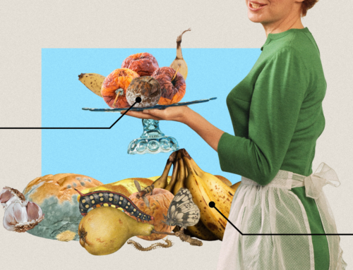 Do obchodu jen sytý a lednici mít z jedné čtvrtiny prázdnou aneb Jak neplýtvat potravinami