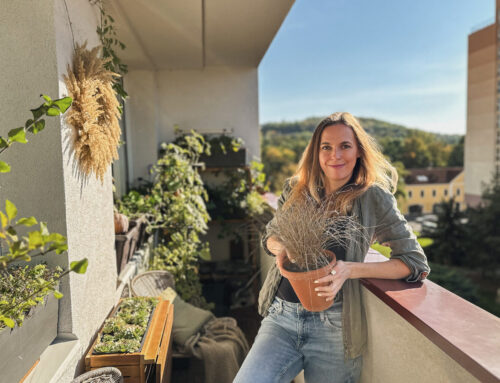 Když mi lidi napíšou, že se těší, až jim kytka zvadne a půjdou si pro novou, tak zuřím, říká Balkonistka