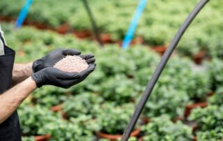 Zemědělci se obávají, že zavedení uhlíkových cel zvyšuje náklady na hnojiva, takže lobbují za výjimku. Ilustrační foto: Getty Images