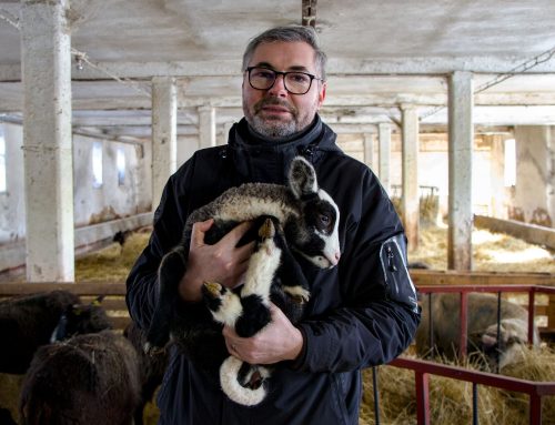 Z Úřadu vlády na pastvinu. Na Rakovnicku vybudoval ovčí biofarmu a přemýšlí o minipivovaru