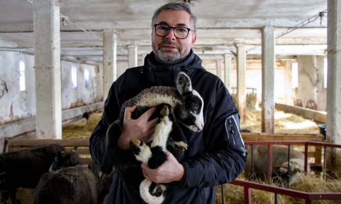 Petr Musil před třinácti lety založil poblíž Rakovníka ovčí biofarmu. Dnes má stohlavé stádo. Foto: Karolína Chlumecká, Ekonews
