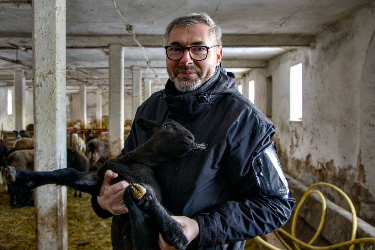 Petr Musil před patnácti lety založil poblíž Rakovníka ovčí biofarmu. Dnes má stohlavé stádo. Foto: Karolína Chlumecká, Ekonews