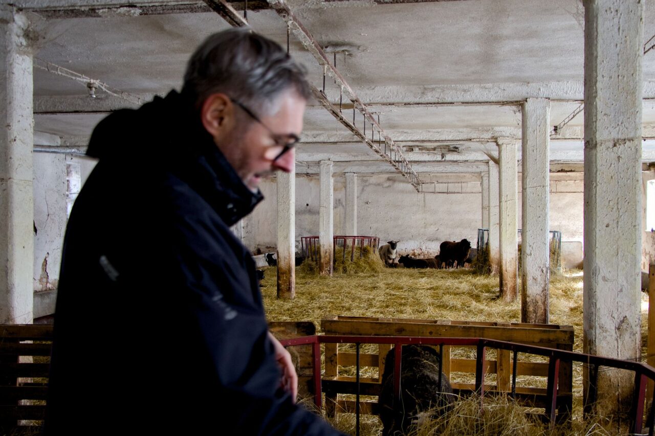 Petr Musil původně pracoval na Úřadu vlády ČR. K farmaření se dostal náhodou, když si pořídil ovce na maso pro děti. Foto: Karolína Chlumecká, Ekonews
