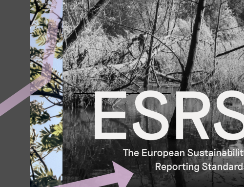 Zjednodušené ESRS jsou tady. Evropská komise přijala osekané standardy pro ESG reporting