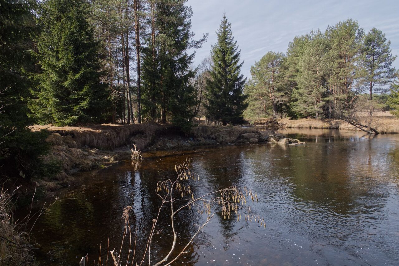 Tok Křemelné představuje ukázkový příklad vzniku a vývoje meandrů. Foto: Tereza Koudelová, Ekonews