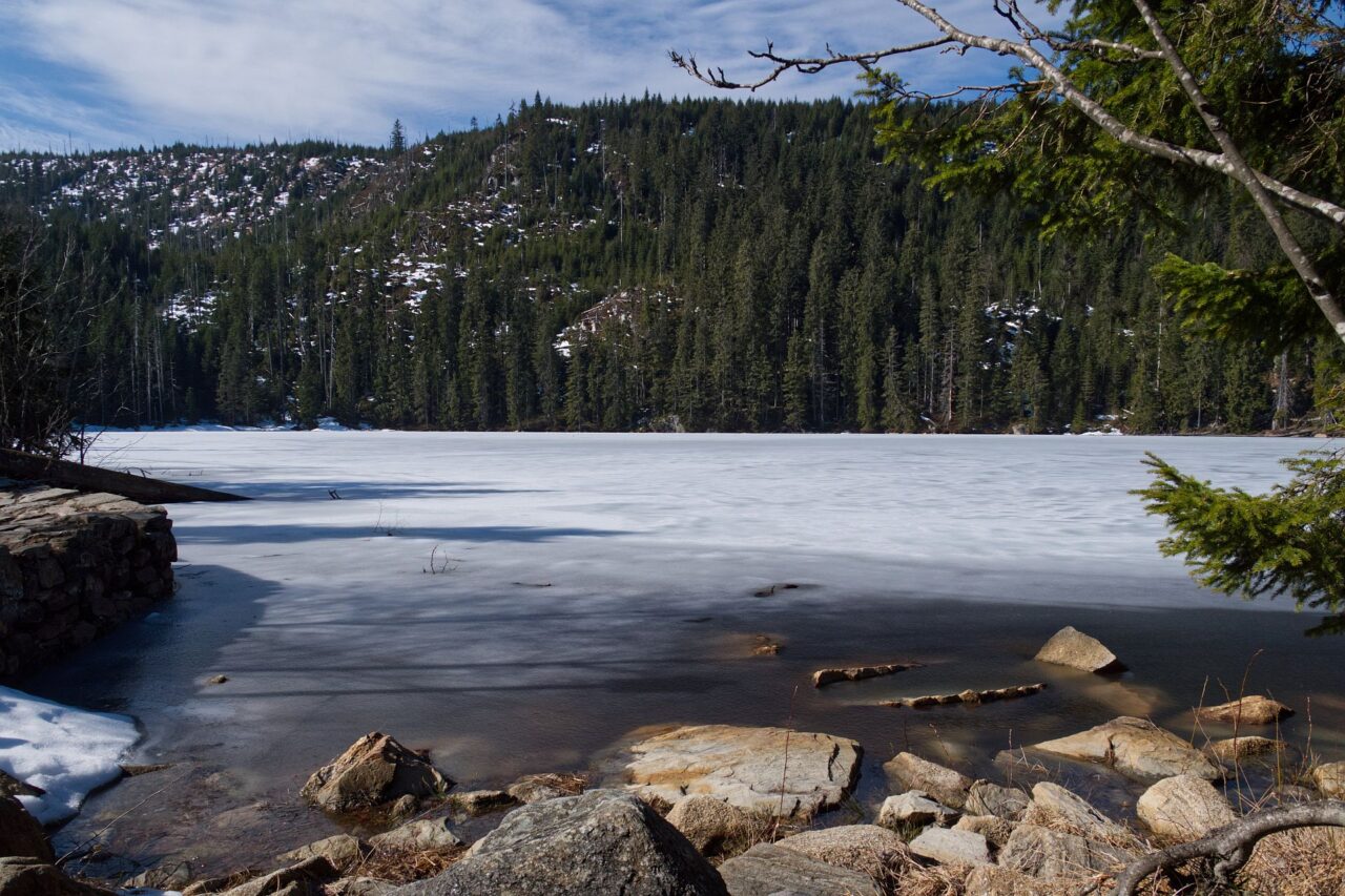 Prášilské jezero je jedním z pěti ledovcových jezer na české straně Šumavy. V jeho okolí se vykytuje řada vzácných druhů, jako je kornatec velký nebo tetřev hlušec. Foto: Tereza Koudelová, Ekonews