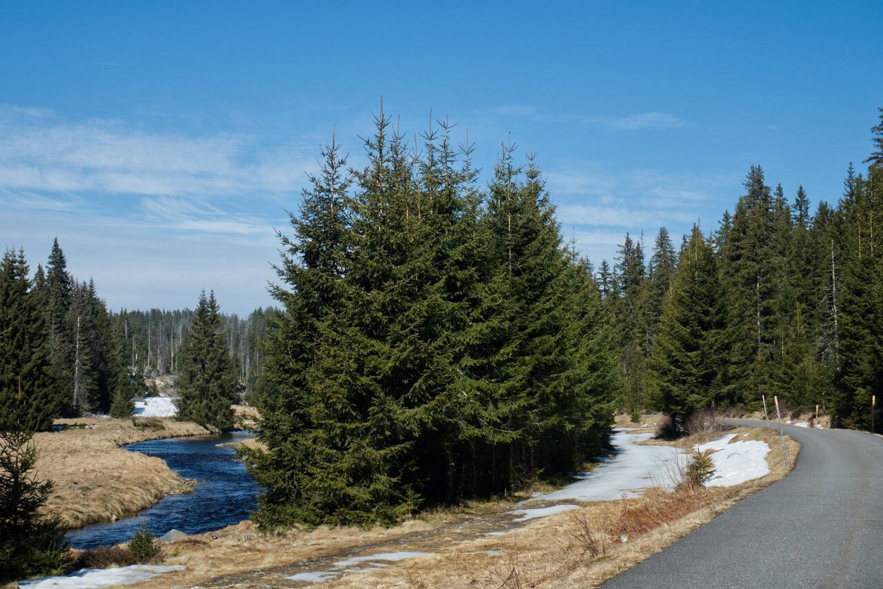 Oblast Modravy je turisticky velmi oblíbené místo, cestu podél Roklanského potoka ročně navštíví okolo 150 tisíc lidí. Foto: Tereza Koudelová, Ekonews