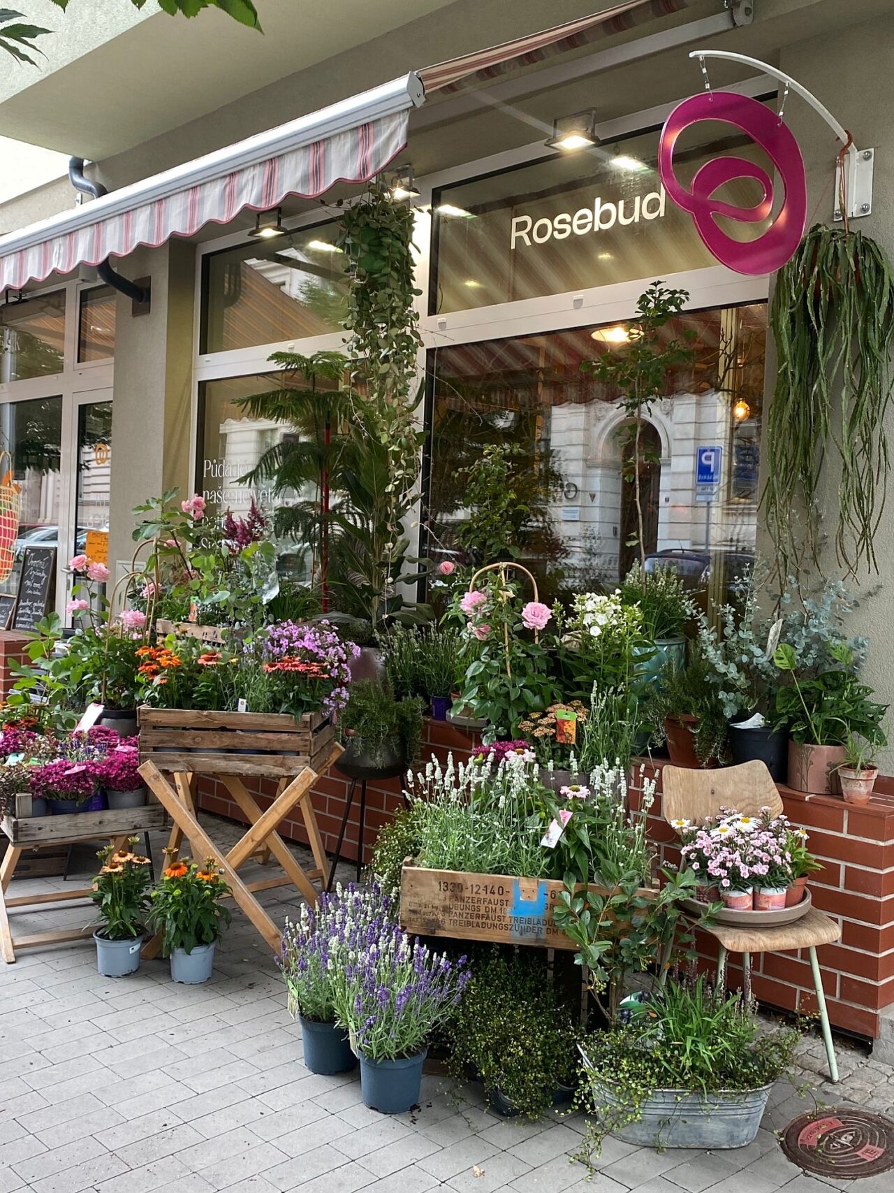 Květinářství Rosebud prodává čtyři až osm tisíc stonků týdně, záleží na sezoně. Foto: poskytnuto květinářstvím Rosebud