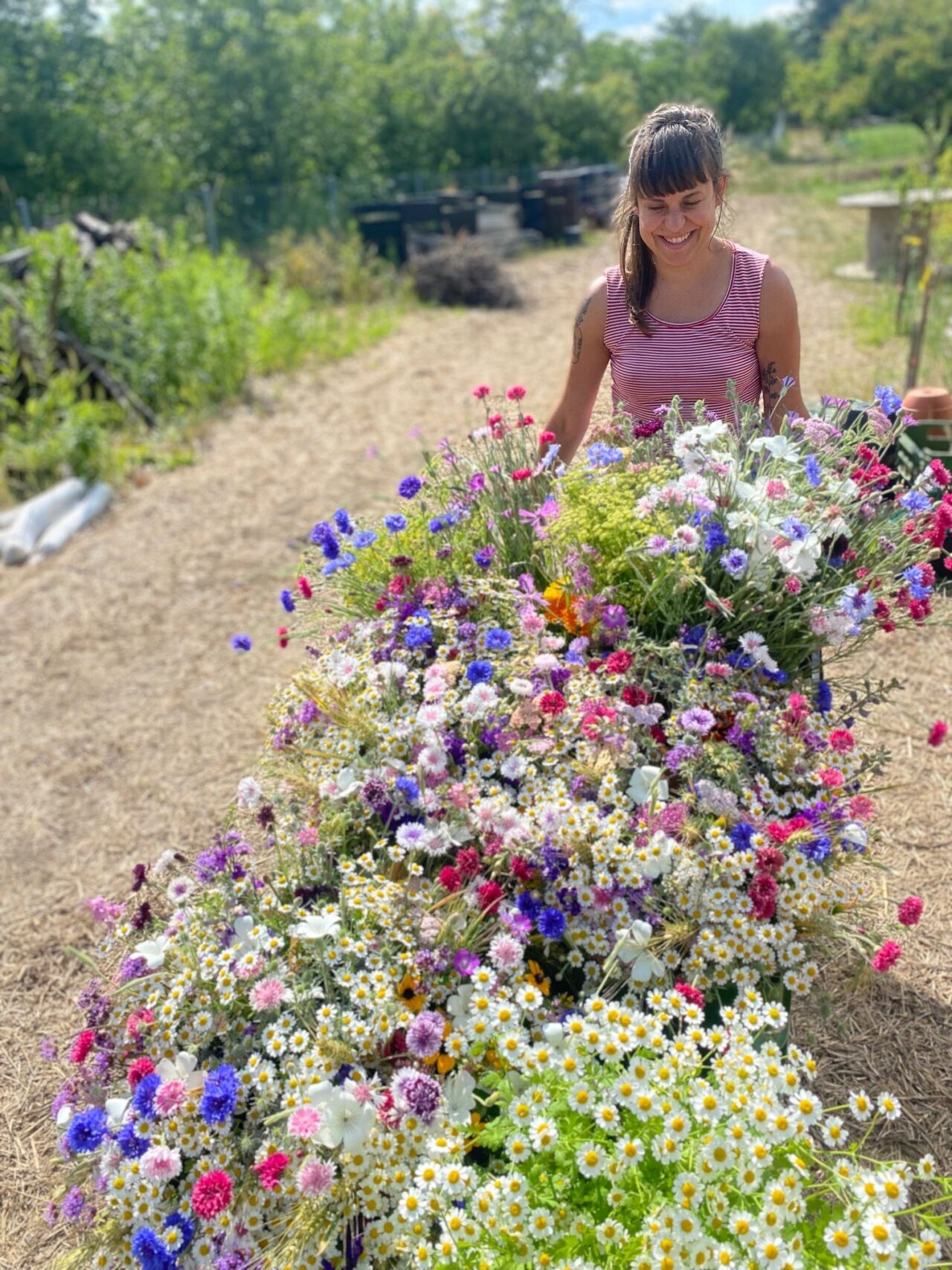Na poli se pěstují převážně křehké druhy květin, které je náročné převážet. Foto: poskytnuto květinářstvím Rosebud
