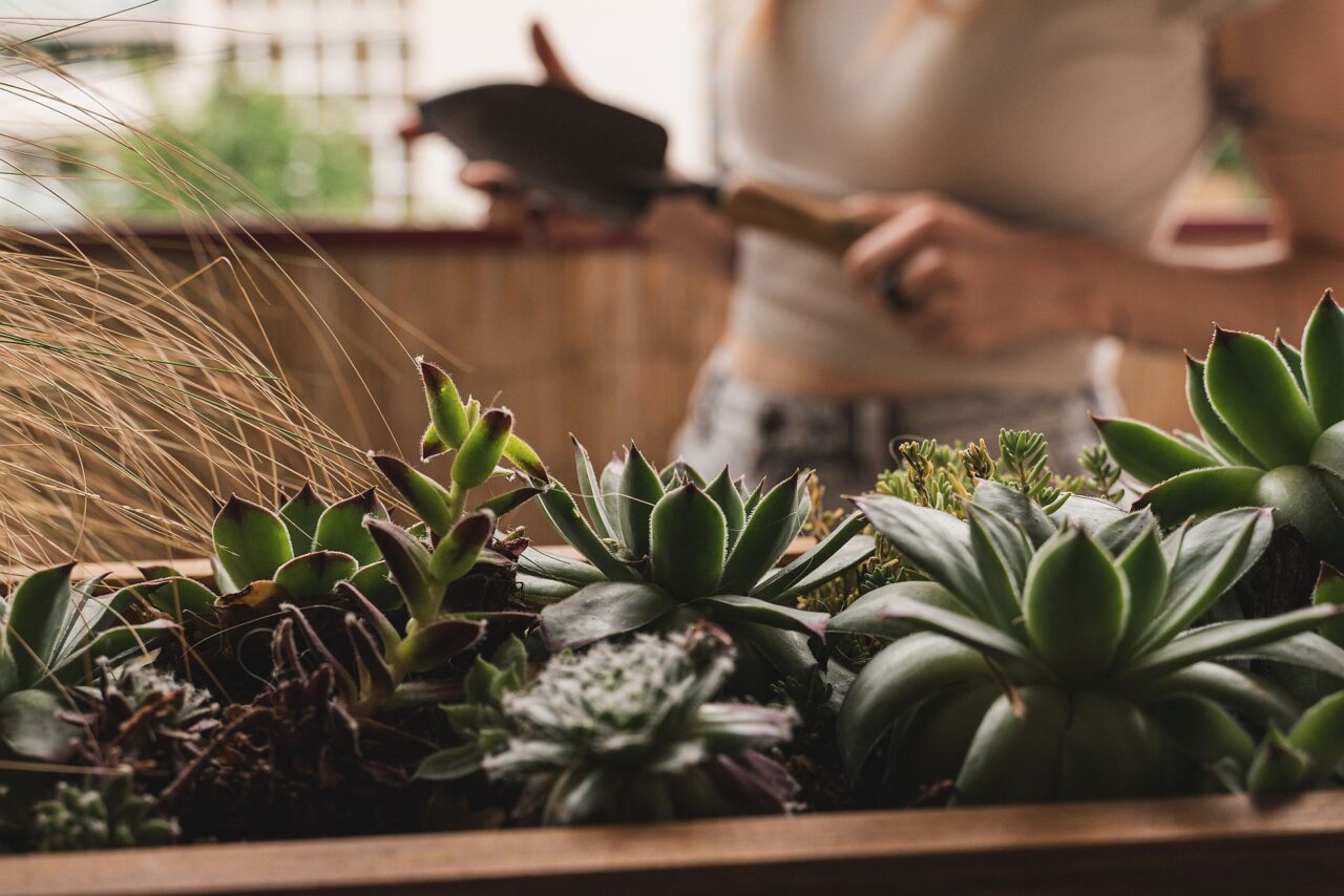 Foto: poskytnuto Lenkou Železnou