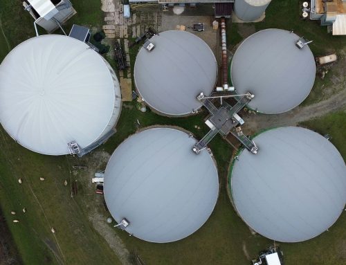 Komentář: Jak se vyhnout padesáti korunám za naftu? Řešení roste přímo za vašimi humny
