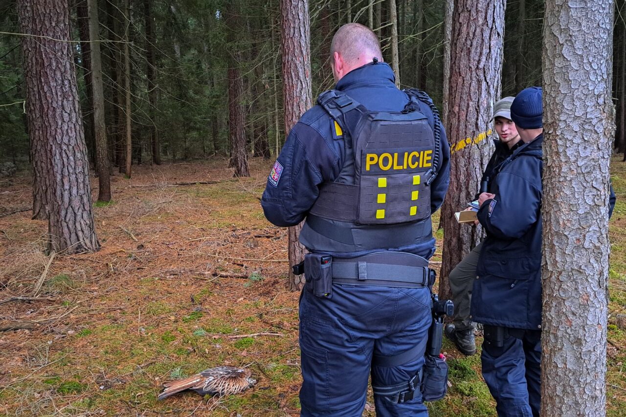 Přístup policie k envirokriminalitě se podle Jana Suchého posunul správným směrem. Foto: postkytnuto Janem Suchým, Justice for Nature