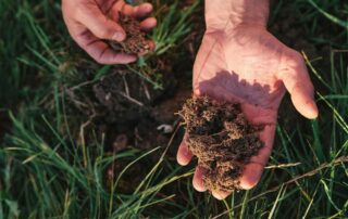 Uhlíkové kredity mají sloužit jako přivýdělek pro farmáře, kteří hospodaří regenerativně. Foto: Roberta Sant Anna Romhow, Unsplash