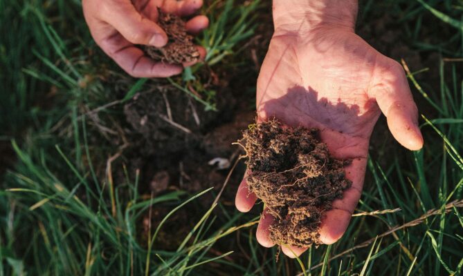 Uhlíkové kredity mají sloužit jako přivýdělek pro farmáře, kteří hospodaří regenerativně. Foto: Roberta Sant Anna Romhow, Unsplash