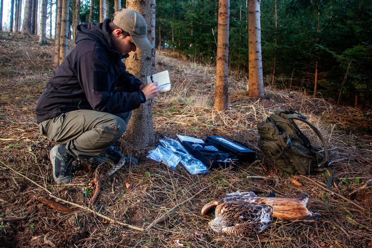„Pokud vyhodnotíme, že se opravdu může jednat o trestný čin, předáváme případ policii a spolupracujeme na vyšetřování,“ říká Jan Suchý. Foto: postkytnuto Janem Suchým, Justice for Nature