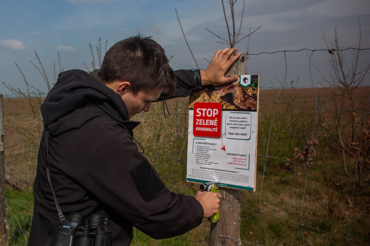 Organizace Justice for Nature se zaměřuje rovněž na prevenci trestné činnosti spojené se zabíjením zvířat. Foto: postkytnuto Janem Suchým, Justice for Nature