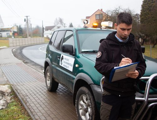 Člověk, který zmrzačí vlka, může být nebezpečný i pro společnost, říká strážce přírody