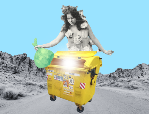 Celofán není plast a ani molitan do žluté popelnice nepatří. Co dalšího Češi třídí špatně?