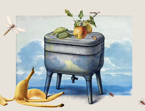 Jak vybrat kompostér. Bioodpadu zbaví žížaly, fermentování, tradiční i moderní technologie