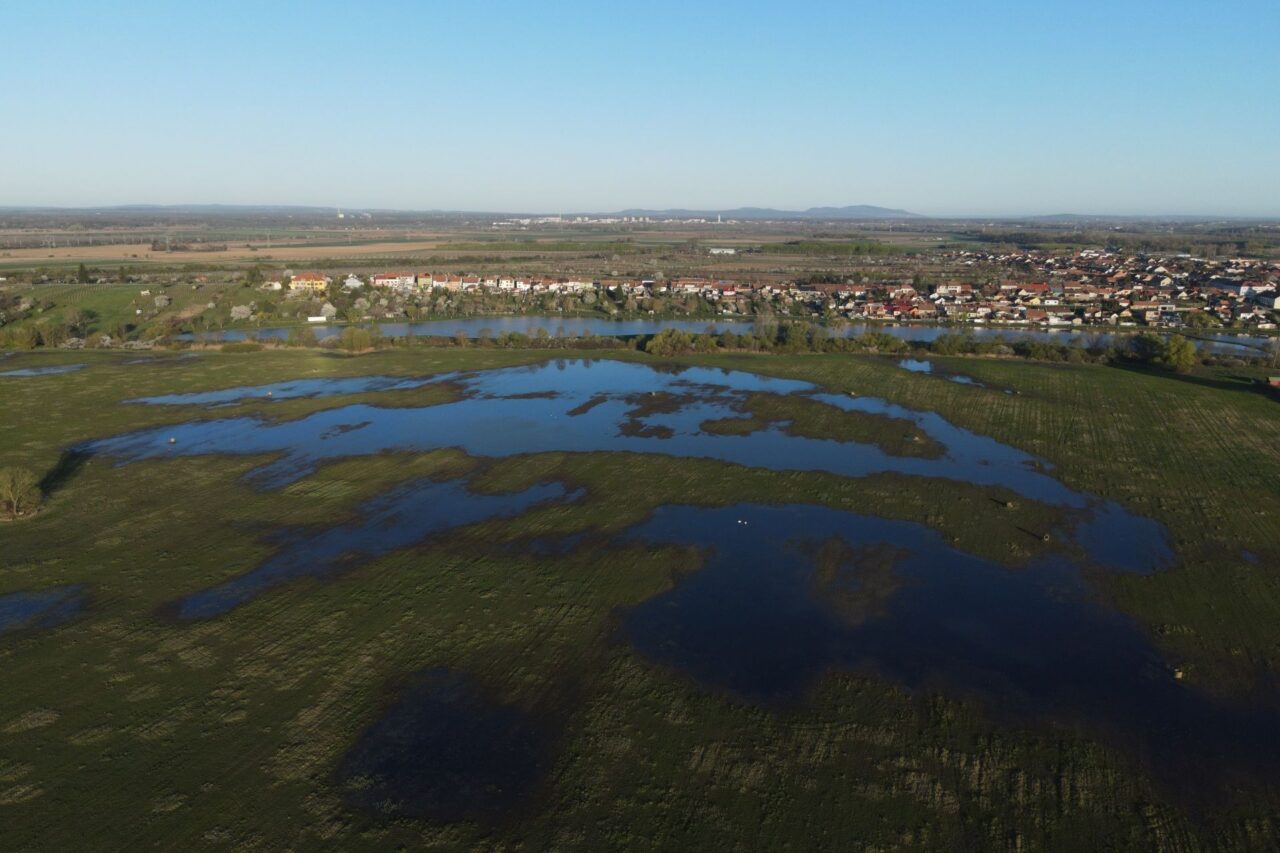 Zásadní je najít způsob, jak přírodu ochránit a hospodáře nepoškodit. Foto: AOPK, CHKO Soutok