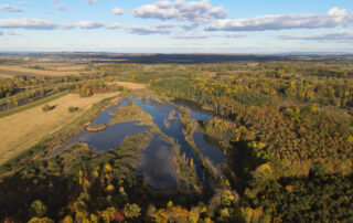 Soustava lužních lesů a luk na soutoku Moravy a Dyje má rozlohu 125 kilometrů čtverečních. Přezdívá se jí Moravská Amazonie. Foto: AOPK, CHKO Soutok