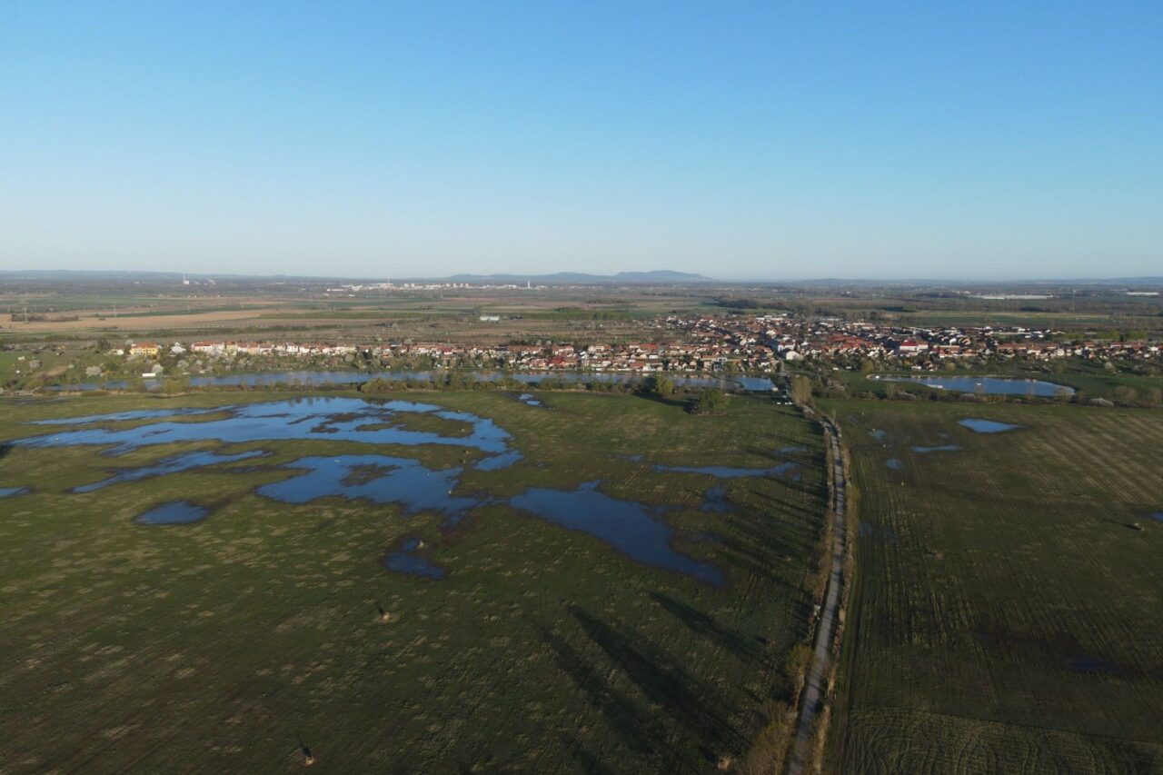 Kombinace lesů, vody a otevřené krajiny je důvod, proč je Soutok tak druhově bohatý. Foto: AOPK, CHKO Soutok