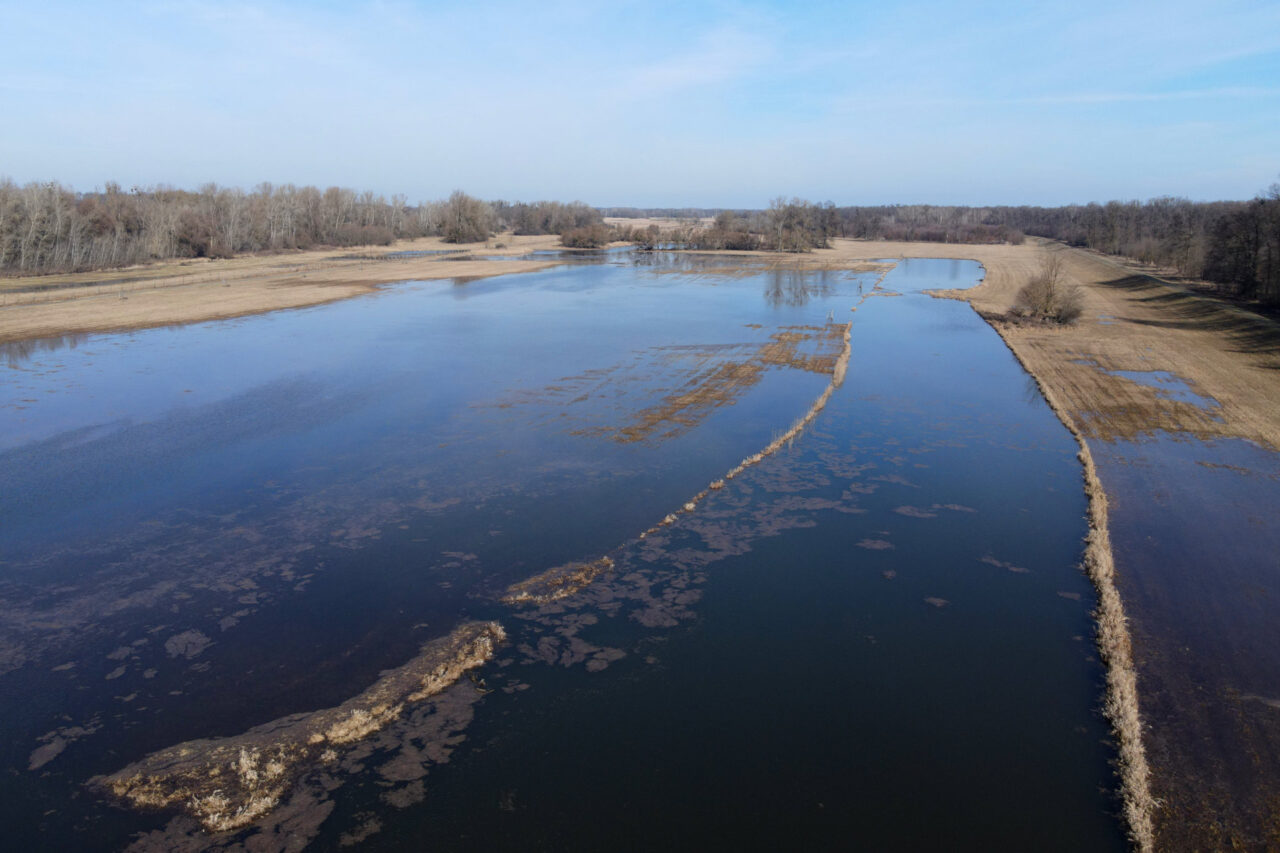 Všechny současné záplavy jsou kvůli masivnímu odvodňování v minulém století umělé. Foto: AOPK, CHKO Soutok