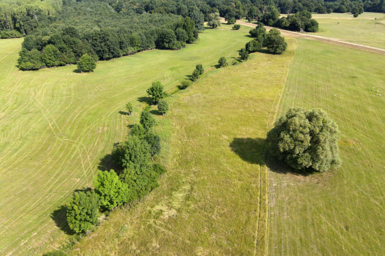 Hospodaření v chráněné krajinné oblasti by mělo mít pro přírodu a krajinu větší přínosy. Foto: AOPK, CHKO Soutok