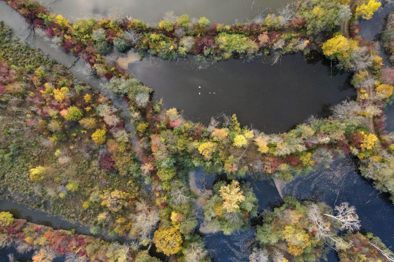 V oblasti jsou zastoupeny téměř čtvrtiny všech druhů české flóry. Foto: AOPK, CHKO Soutok