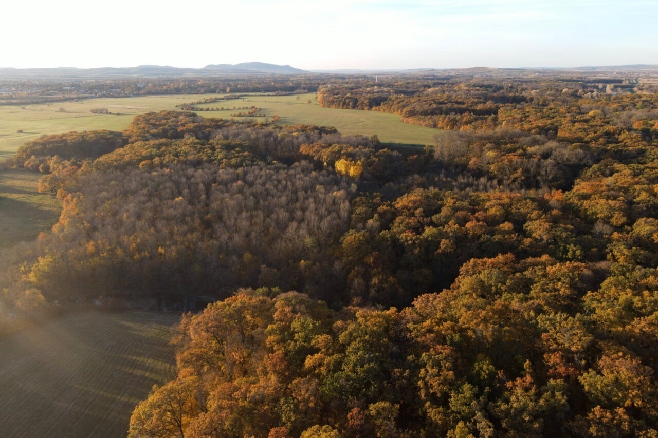 CHKO Soutok se nachází v nejjižnějším cípu Moravy. Foto: AOPK, CHKO Soutok