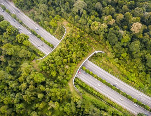 Nízkoemisní materiály jsou ve velkých objemech obtížně dostupné, upozorňuje Vinci Construction CS