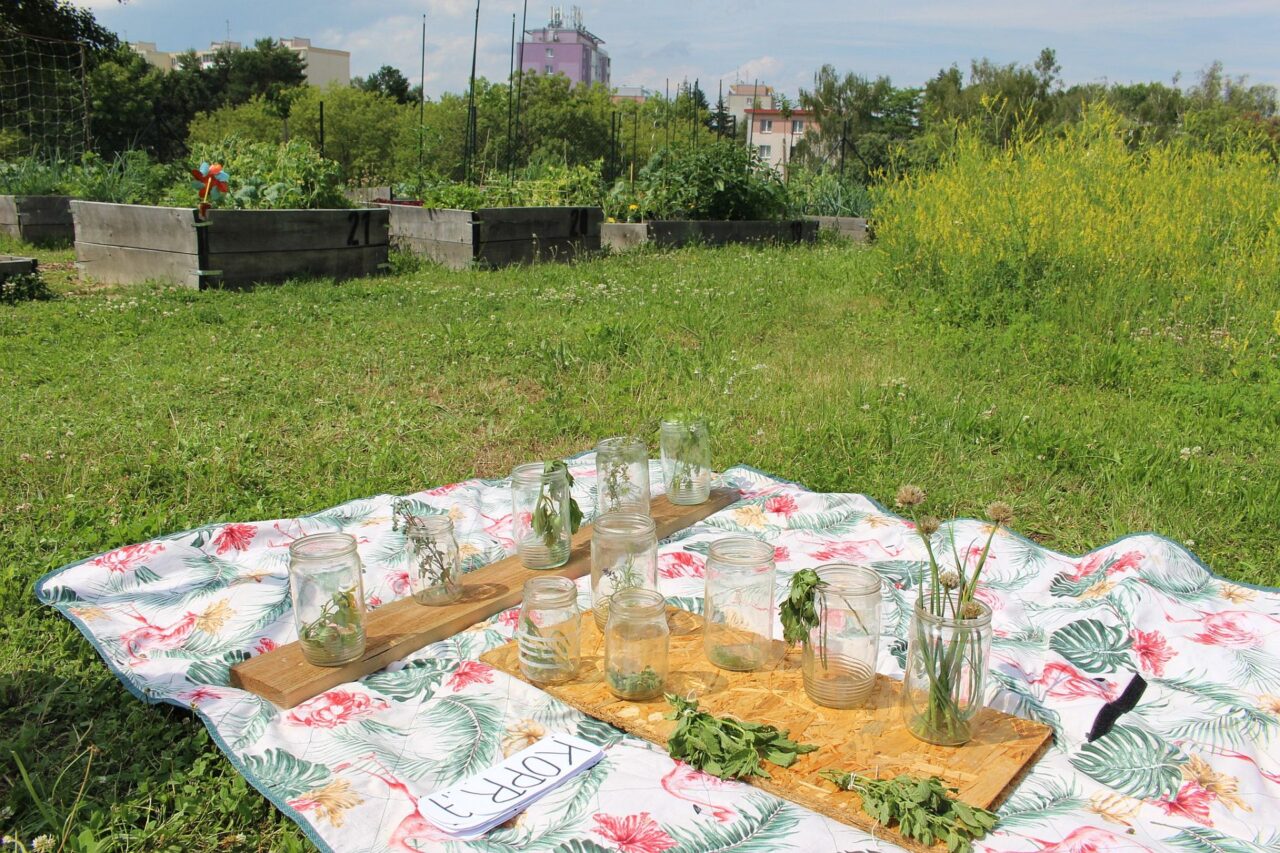 Spolupráce s nedalekou Fakultní nemocnicí Olomouc byla při vzniku komunitní Za()hrady na „Tabuláku“ klíčová. Stojí totiž na jejích pozemcích. Foto: poskytnuto skupinou Za()hrada