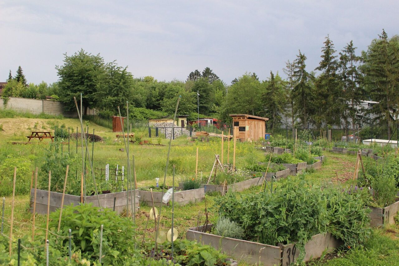 Tabulový vrch je městská část na periferii Olomouce, takže zahrada je pomyslnou oázou mezi normalizačním sídlištěm, vilovou zástavbou a průmyslovým areálem. Foto: poskytnuto skupinou Za()hrada