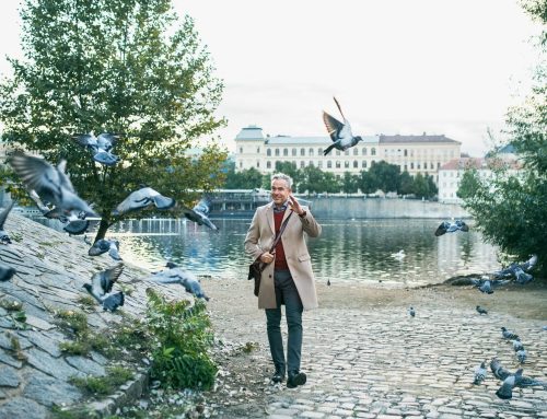 Lidé nechtějí, aby města vybíjela holuby plynem. Českem se šíří vlna petic