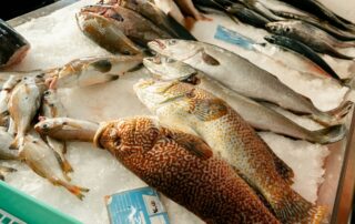 Nadměrný rybolov ohrožuje některé druhy rybích populací. Foto: Natalia Blauth, Unsplash