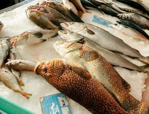 Zákazníci by neměli kupovat tresky ulovené ve vodách Británie. Populace se nemusí obnovit, varují ekologové