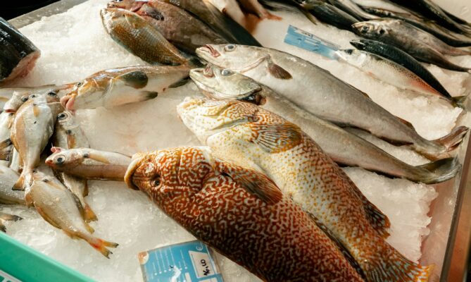 Nadměrný rybolov ohrožuje některé druhy rybích populací. Foto: Natalia Blauth, Unsplash