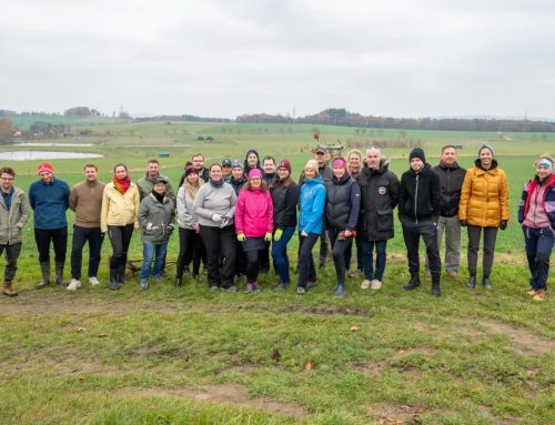 Výsadbu stromů v okolí fotbalových hřišť až za sto tisíc korun. Nadace Tipsport vyhlašuje grant