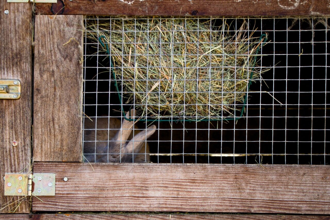 Ročně do místního biocentra míří stovky dětí z Karlovarského kraje, zájem je hlavně o programy o zvířatech. Foto: Karolína Chlumecká, Ekonews