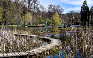 Botanická zahrada v Bečově nad Teplou se rozkládá na deseti hektarech, nachází se zde bioferrata, rybník i systém starých sádek. Foto: Karolína Chlumecká, Ekonews