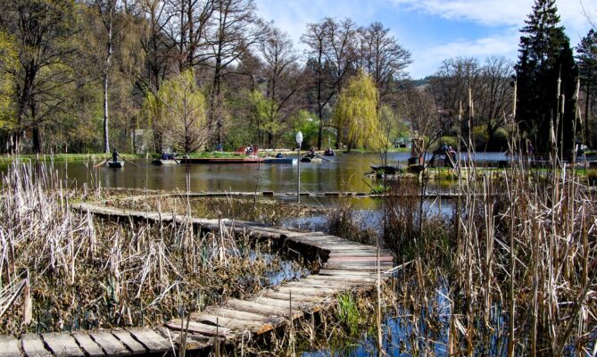 Botanická zahrada v Bečově nad Teplou se rozkládá na deseti hektarech, nachází se zde bioferrata, rybník i systém starých sádek. Foto: Karolína Chlumecká, Ekonews
