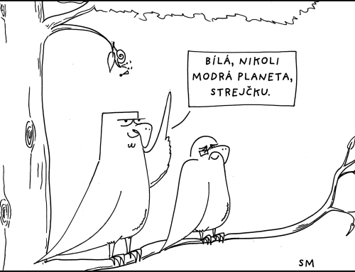 Fíla a Píro VII.