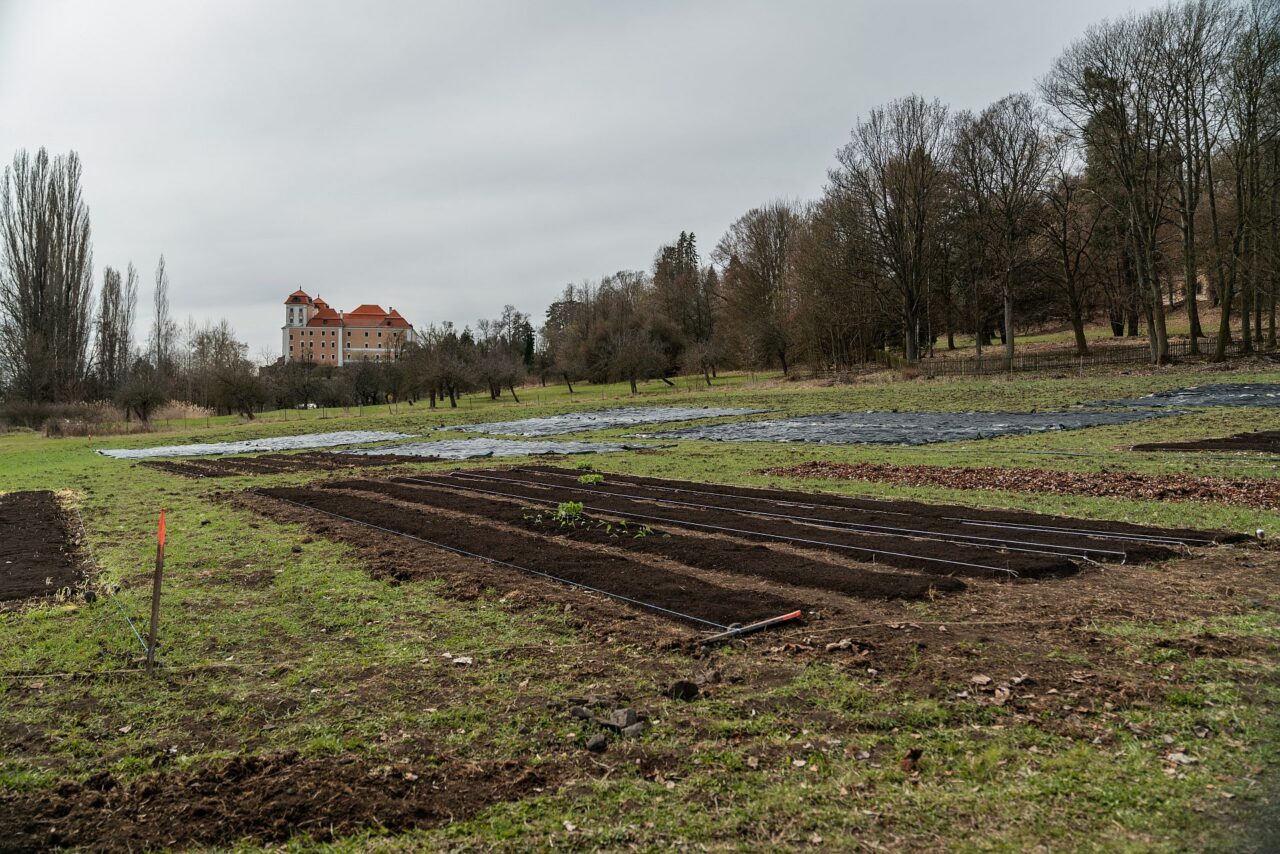 Projekt vyšší odborné školy ekologického zemědělství staví na myšlence, že budoucí farmáři se neučí jen z učebnic, ale hlavně na polích. Foto: poskytnuto společností E.ON