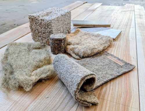 Tiny house z konopí a systém využití odpadů z demolic. Buřinka podpoří dva projekty pro udržitelné bydlení