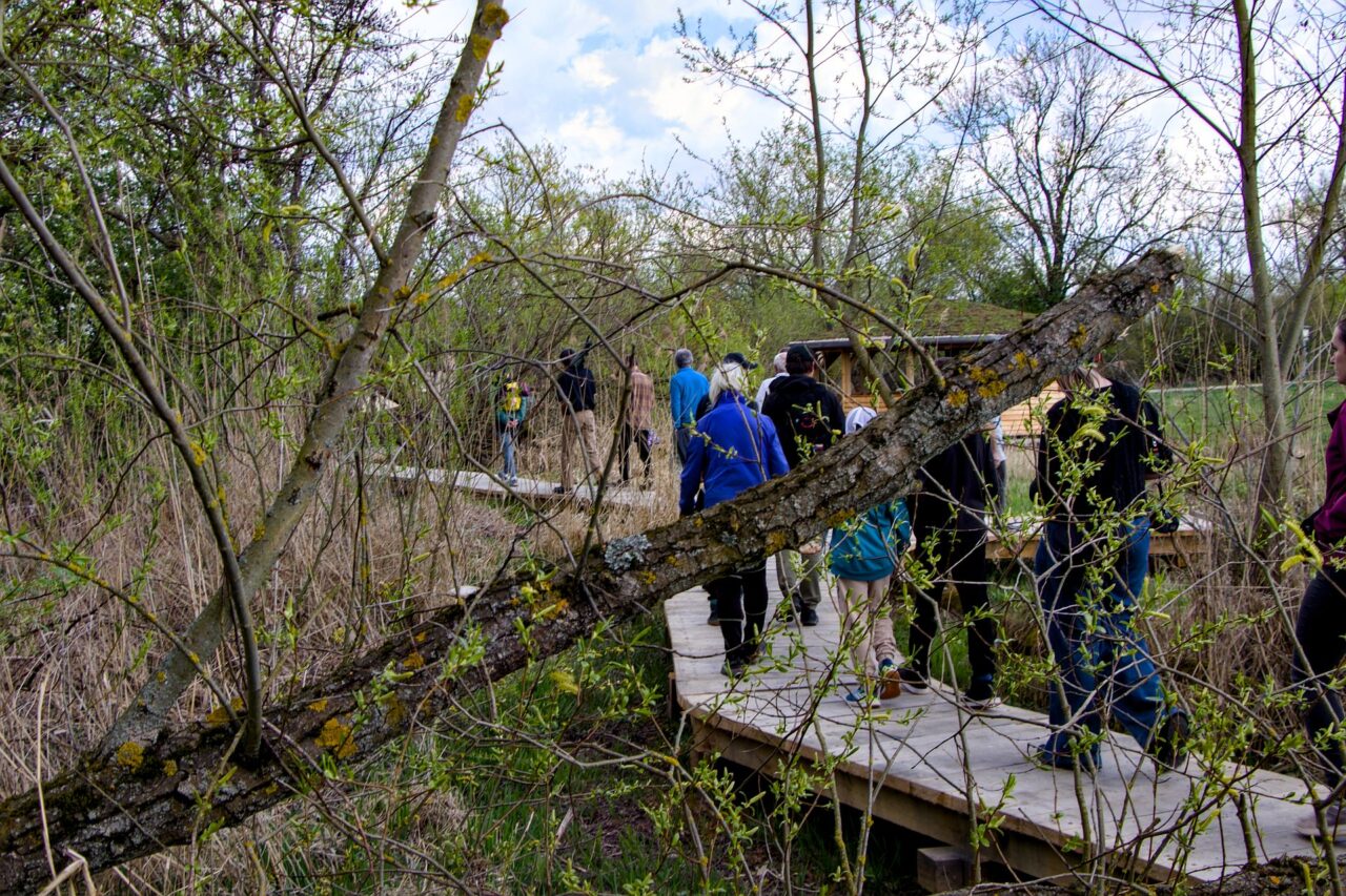 Od dubna přibyly v areálu nové závalové chodníky, dvě pozorovatelny a altán pro výuku, aby lidé mohli být přírodě zase o krok blíž. Foto: Karolína Chlumecká, Ekonews