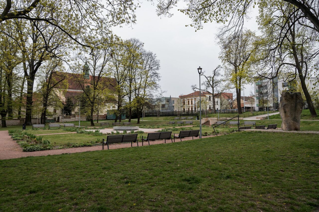 Projekt UpGreen nabízí analýzu stromů pomocí satelitních dat a ukazuje, kde zeleň prospívá a kde začíná strádat. Foto: poskytnuto společností E.ON