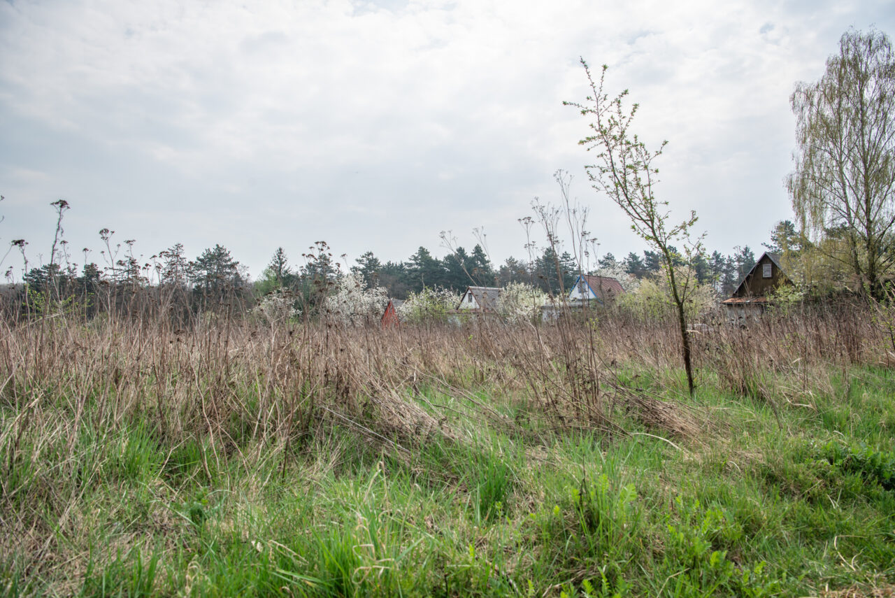 Přilehlý pozemek, který by si Gavendová ráda pronajala také. Foto: Kateřina Hefler, Ekonews
